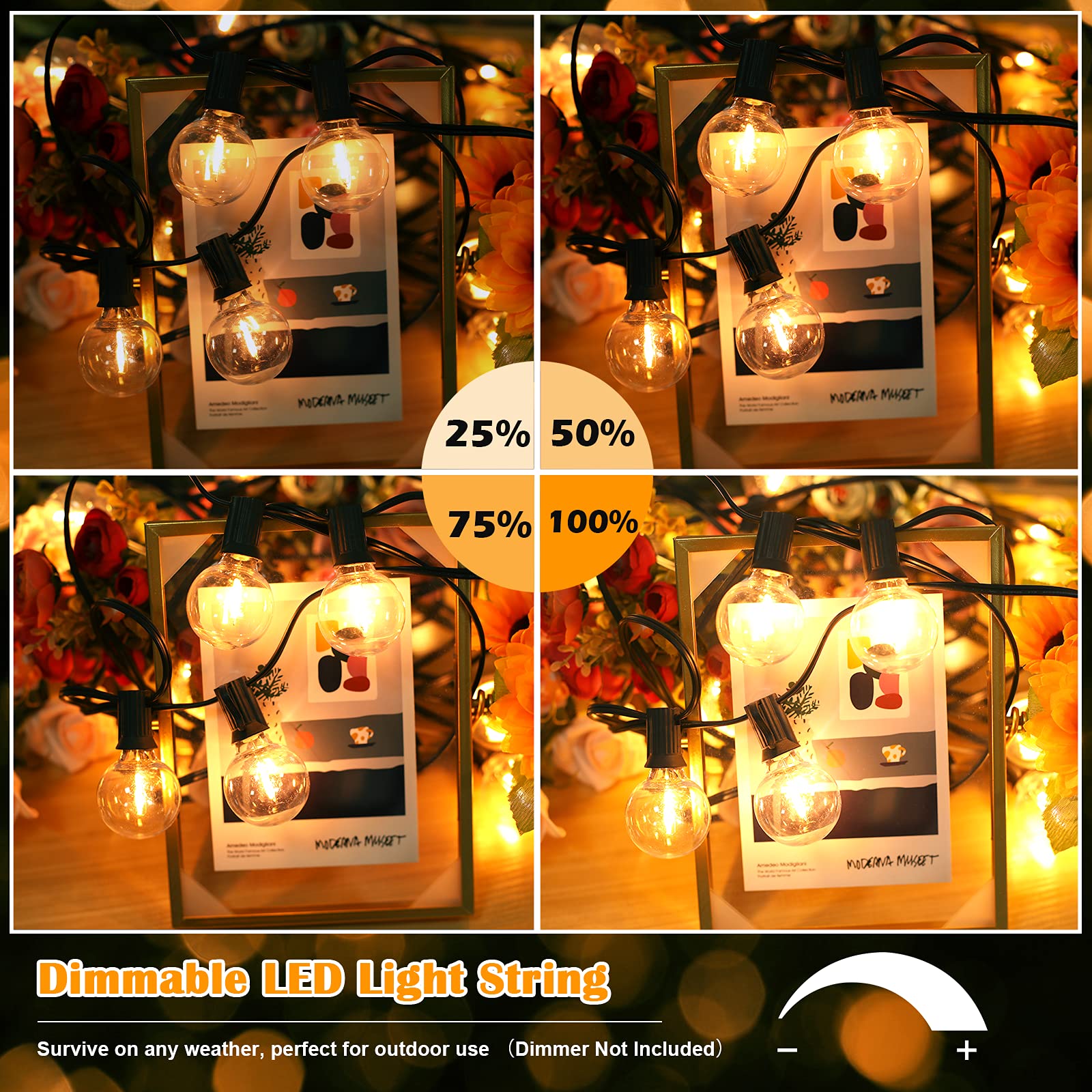 Brightever energy-saving 1W bulbs reduce electricity use.