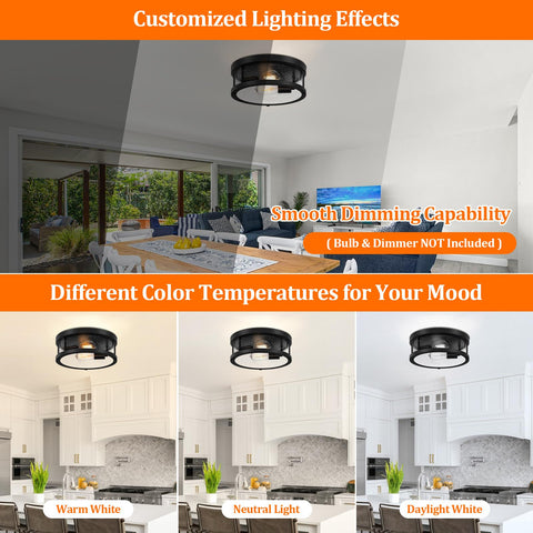 Brightever seeded glass shade on ceiling light for warm ambience