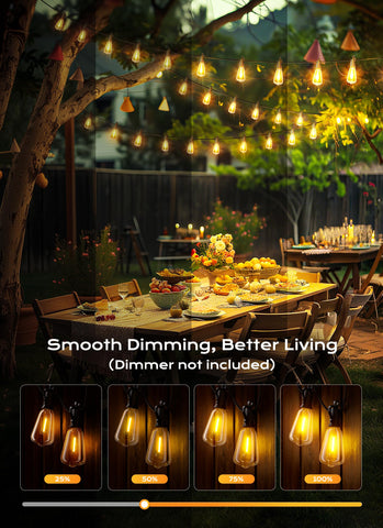 Brightown dimmable patio lights provide customizable ambiance for evenings.