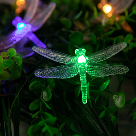 Dragonfly-shaped lights on a tree from Brightown adding color