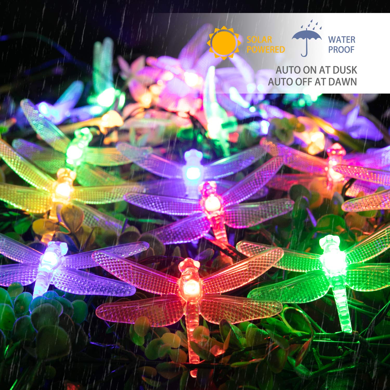 Brightown multicolor dragonfly LEDs on a decorative string