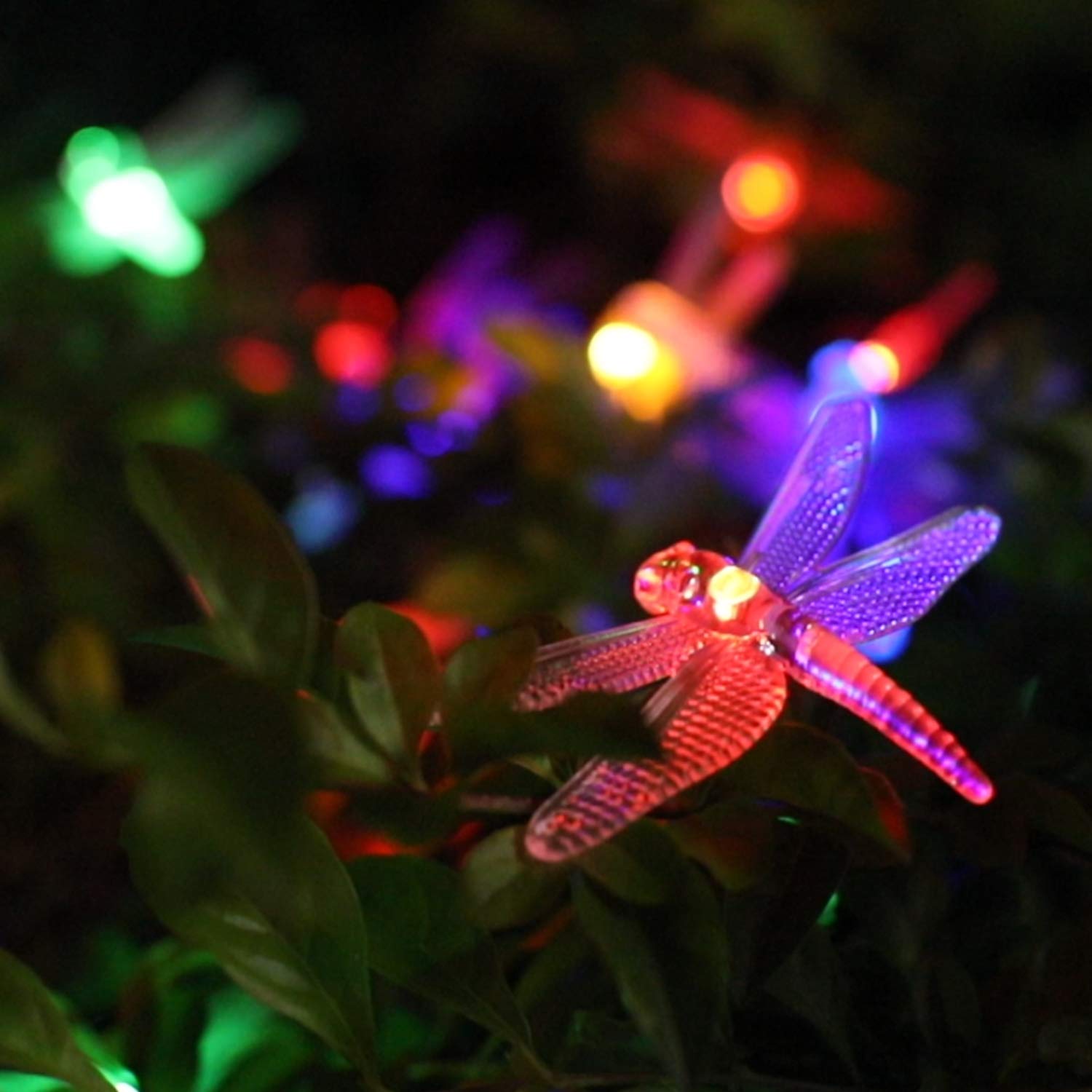 Brightown Dragonfly solar string lights glowing on a garden shrub