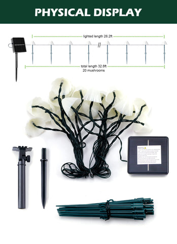 Brightown energy-saving solar lights charge in sun for nighttime ambiance.