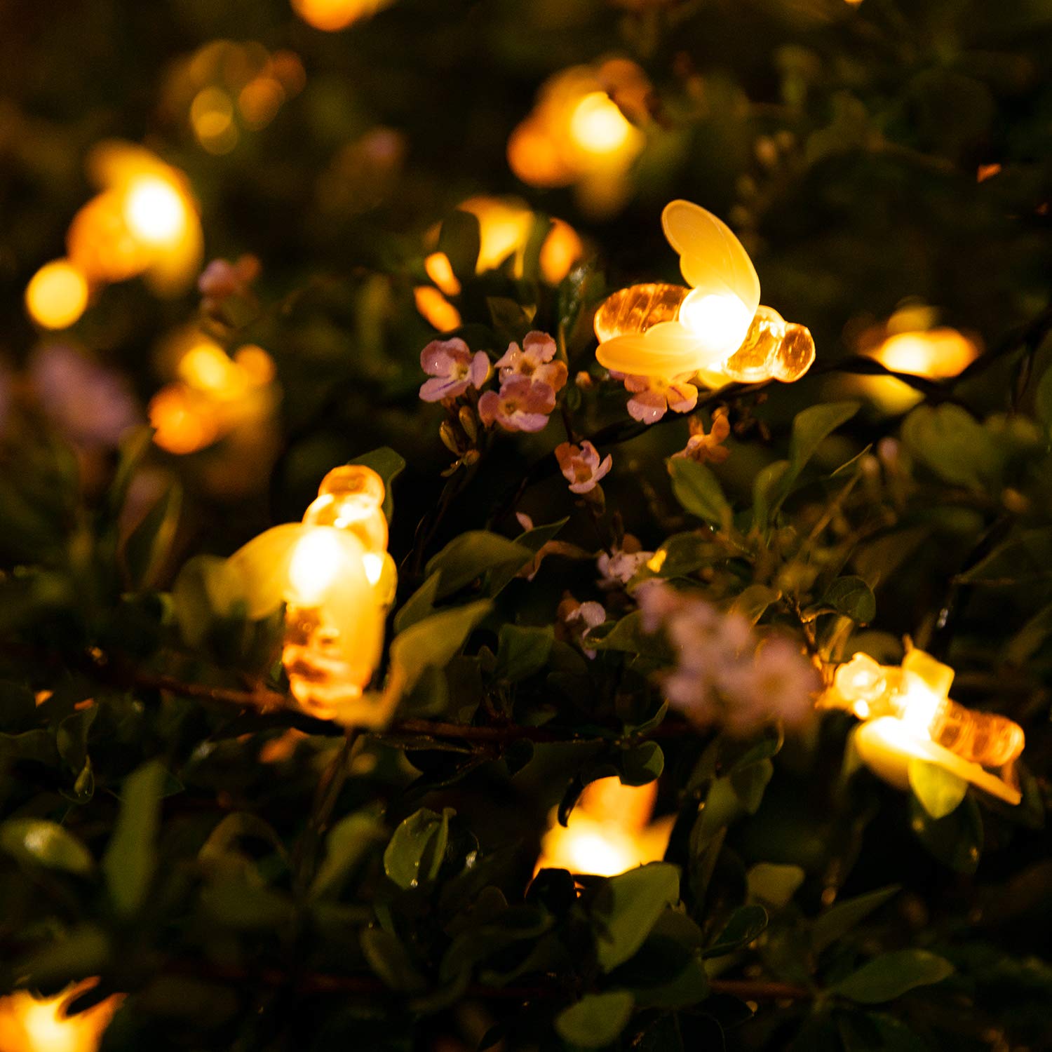 Brightown IP65 waterproof bee lights perform in rain or snow.