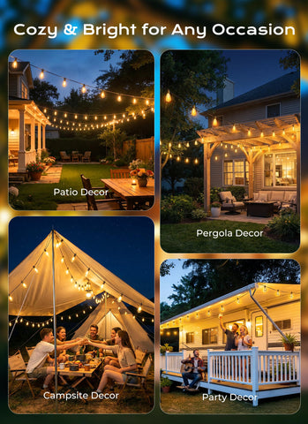 Brightown lights mounted on a pergola/fence for decorative nighttime lighting.