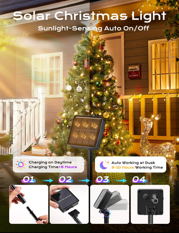 Brightown C6 strawberry lights decorate the Christmas tree with warm, radiant color.