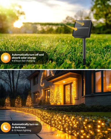 Brightown solar string lights wrapped around a tree provide soft focal lighting.