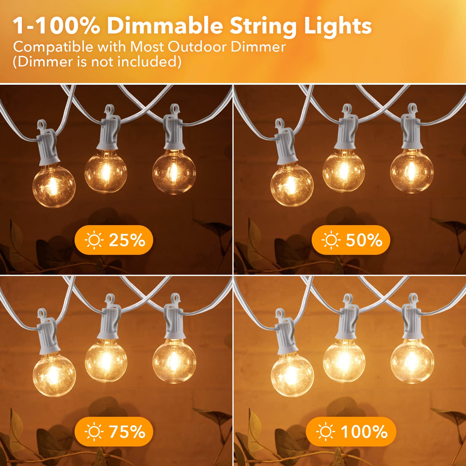 Brightown warm light creates inviting backyard ambience for outdoor spaces.