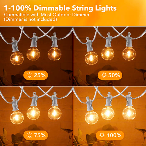 Brightown warm light creates inviting backyard ambience for outdoor spaces.