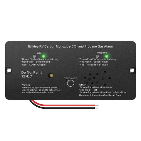 Briidea RV alarm front view with dual indicators for CO and propane safety