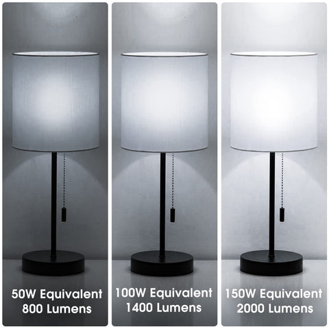 Briignite 3-Way LED bulb demonstrates energy efficiency.