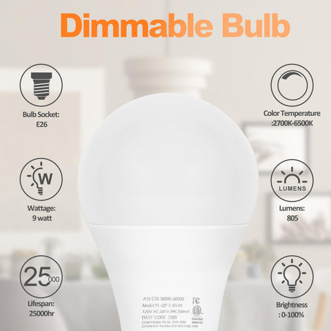 Brilvibera A19 bulbs color temperature range from warm to cool light