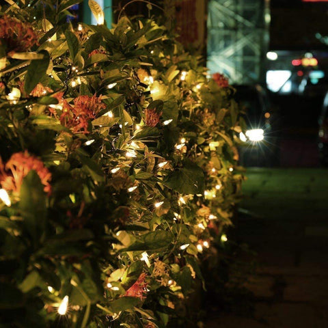 Brizled lights creating wedding and dining ambience with soft warmth