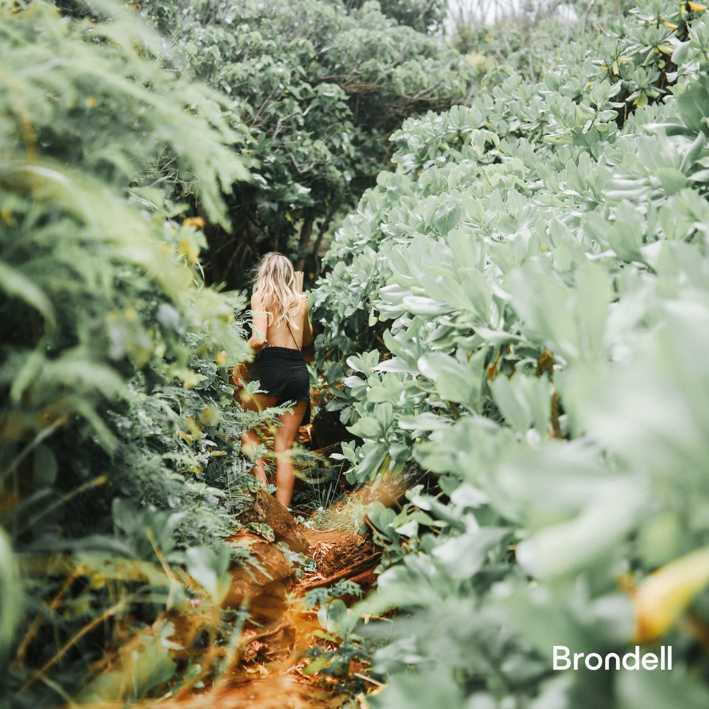 Brondell SS-150 non-electric design uses ambient water