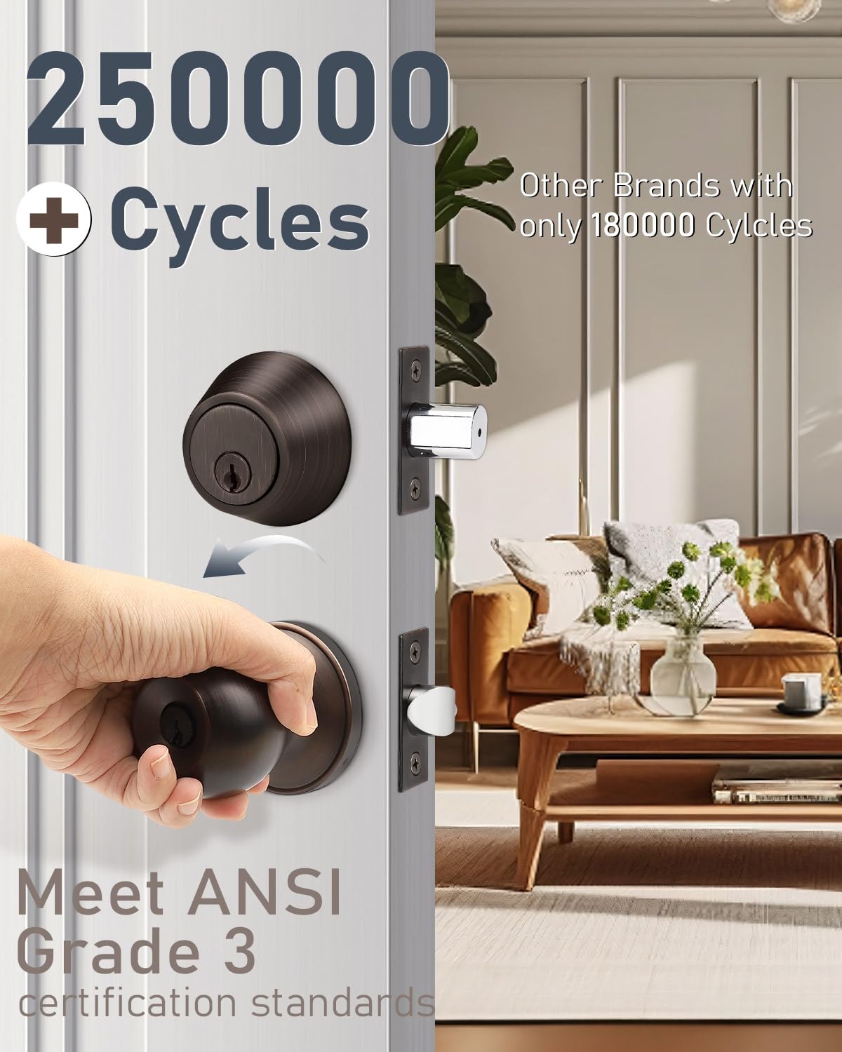Brotima single-cylinder deadbolt close-up showing robust bolt for reliable daily entry.