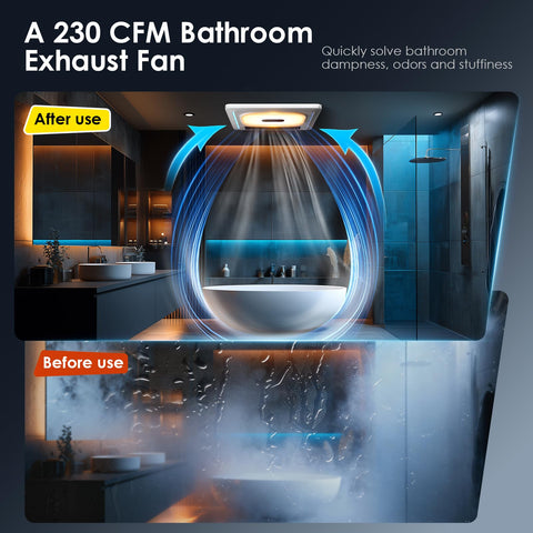 BSEED 230 CFM airflow image for rapid moisture reduction.