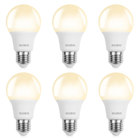 BUBO A19 LED bulb six-pack on display for energy-efficient home lighting