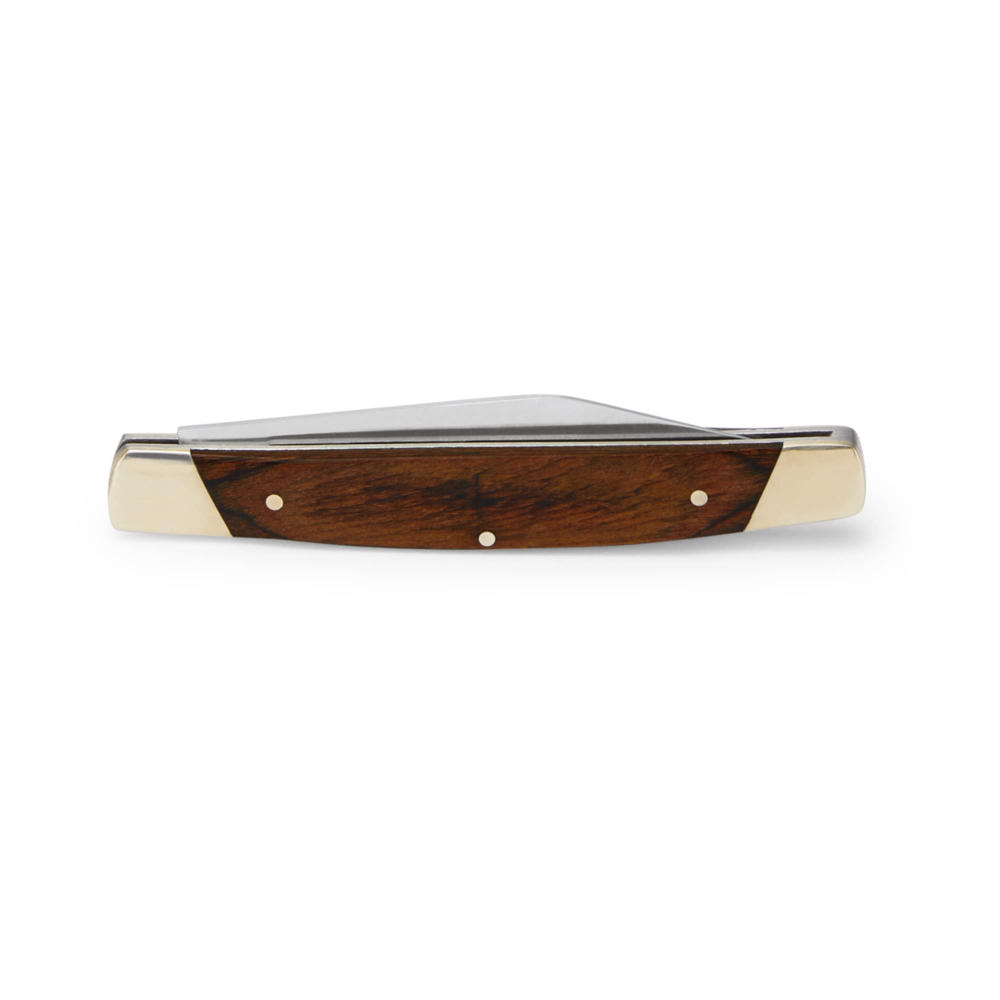 Buck Knives 379 Solo blade and handle detail highlight durable everyday use.