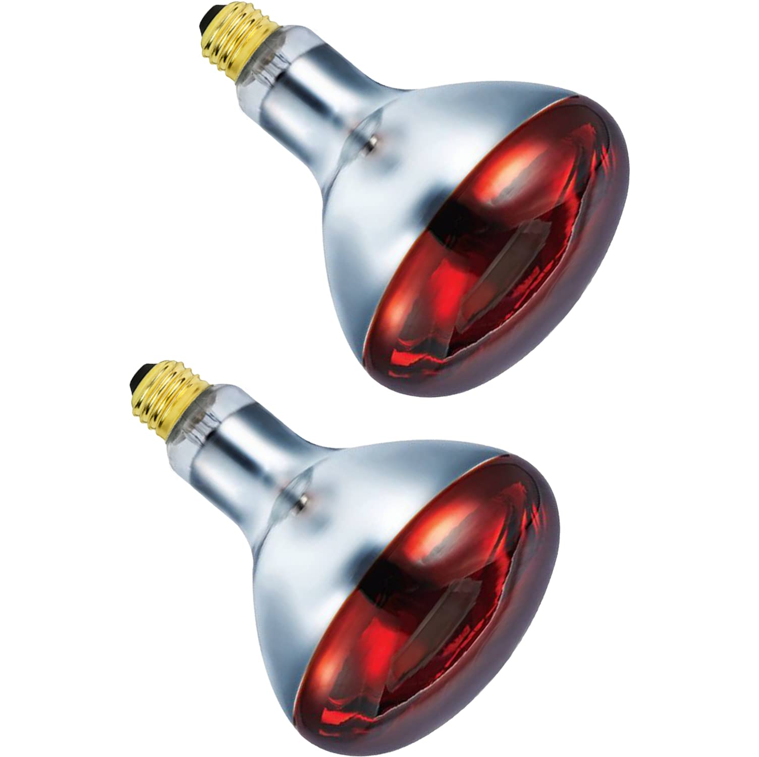 BULBMASTER heat lamp keeps pets and livestock warm in a coop