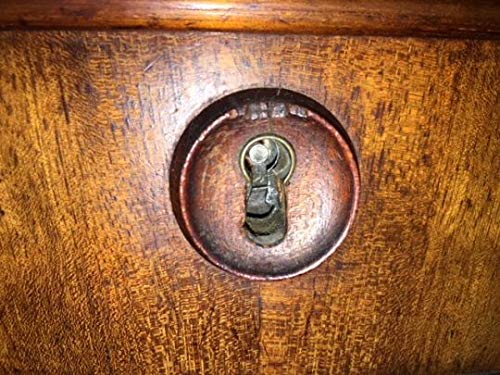 Two keys included with Burg-Wächter ME/2 Lock Blocker for easy access control.