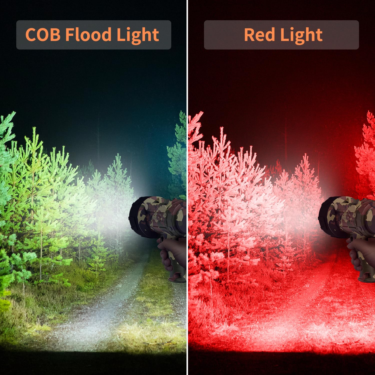 BUYSIGHT COB beads close-up showing bright flood and spot capabilities.