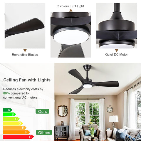BvenuBigLite installation guide simplifies setup