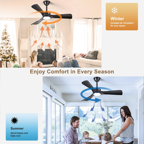 BvenuBigLite LED light on for ambient illumination