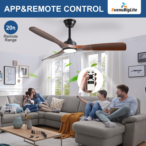 BvenuBigLite 3-year warranty and reliable support for protection