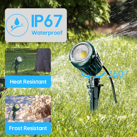 BYQY green color lens creates vibrant garden accents