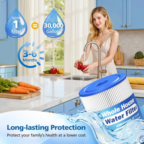 Caehomly 5 micron 10x4.5 filter in housing demonstrates steady, reliable water flow.