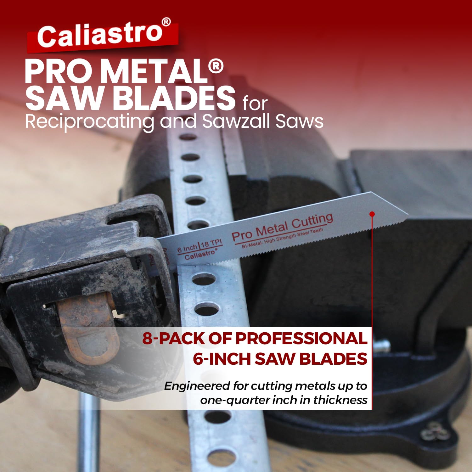 Caliastro durable clear storage case keeps blades organized in a toolbox