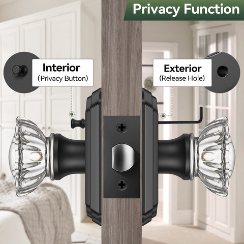 Calzibeno vintage crystal doorknob closeup highlights timeless elegance