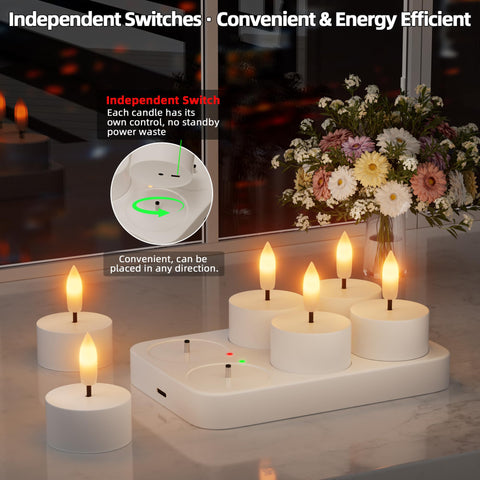 CAMCLIM charging station indicators show full charge status