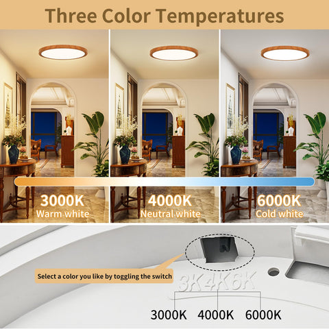 CAMCLIM LED ceiling light delivers up to 2400 lumens with flicker-free performance.