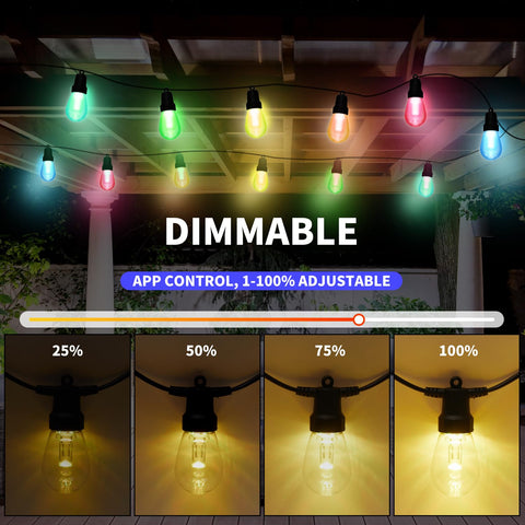 CAWWS RGBW bulbs offer color change modes for mood-enhancing gatherings.