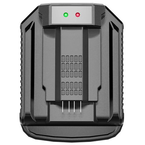 C DSANKE C BA4200 battery connected to CH2100 for versatile charging.