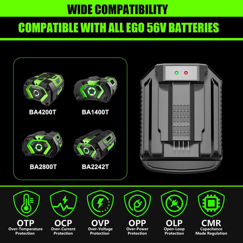 C DSANKE C CH2100 LED indicators for charge status at a glance.