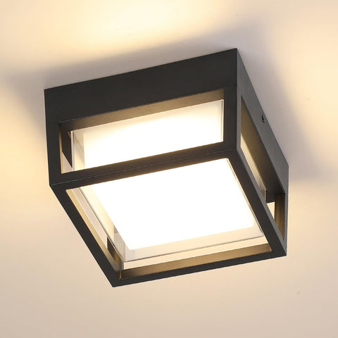 CHENS01 outdoor ceiling light diffuser provides soft, even illumination.