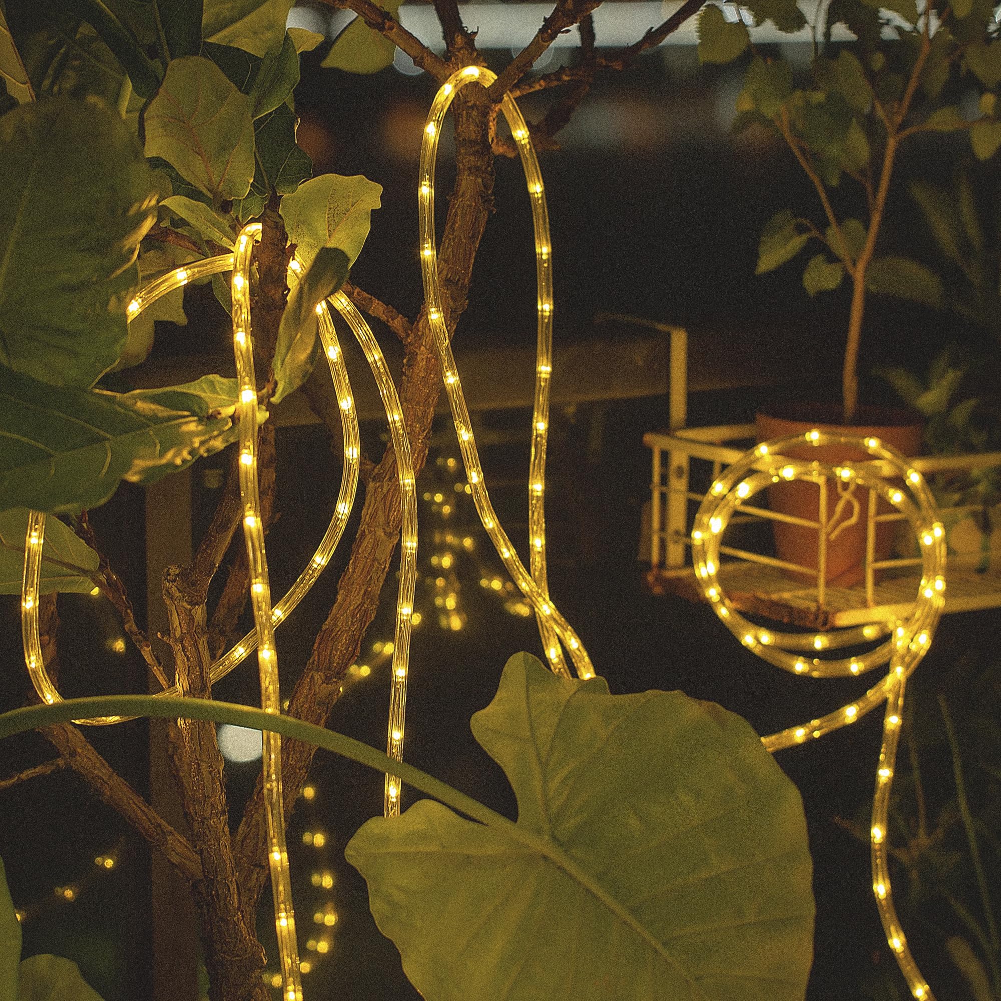 CHORLED rope lights creating garden and pool area ambience