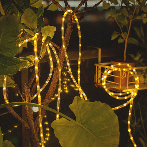 CHORLED rope lights creating garden and pool area ambience