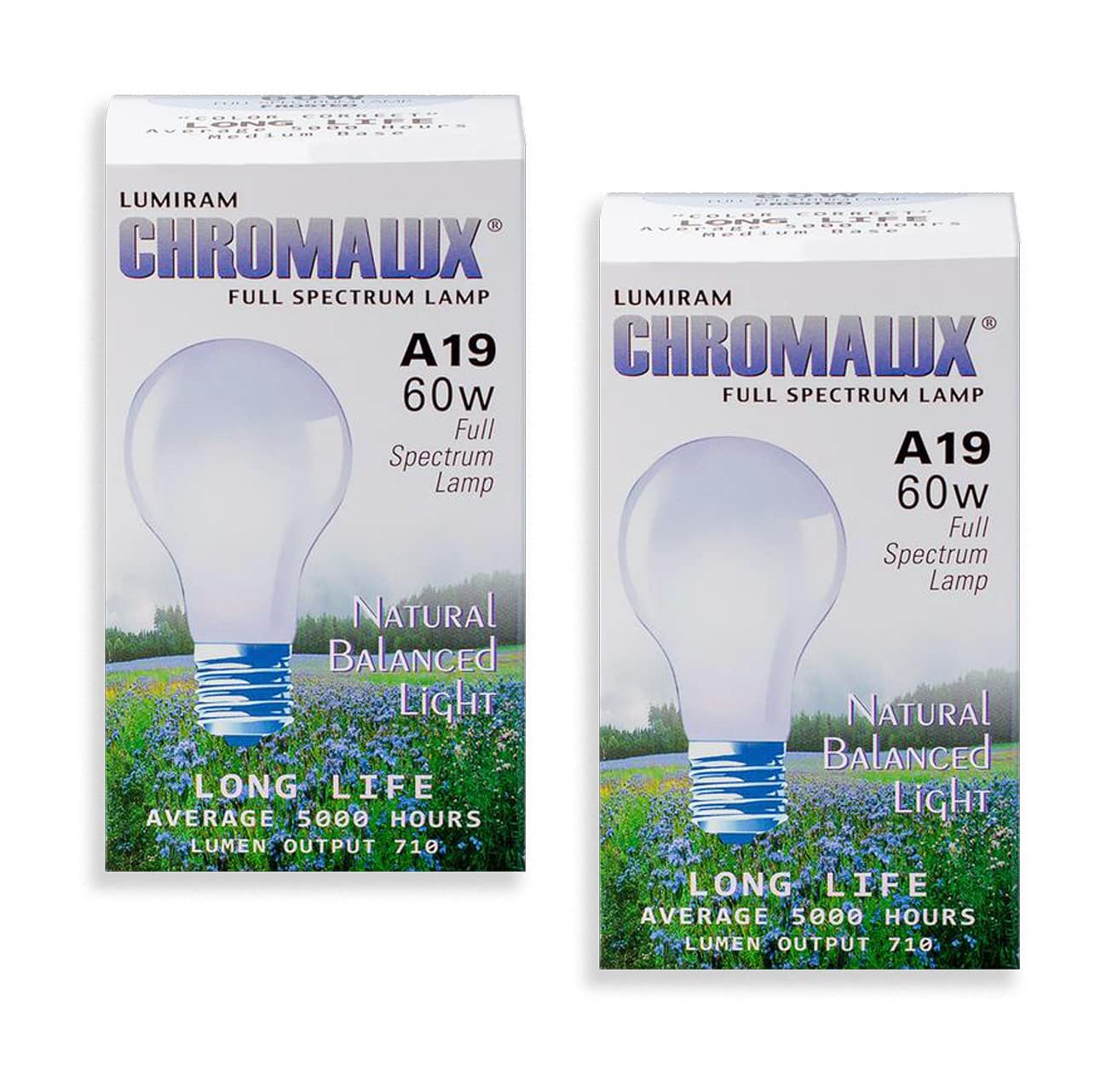 Chromalux frosted 60W bulb front view for versatile, even lighting.