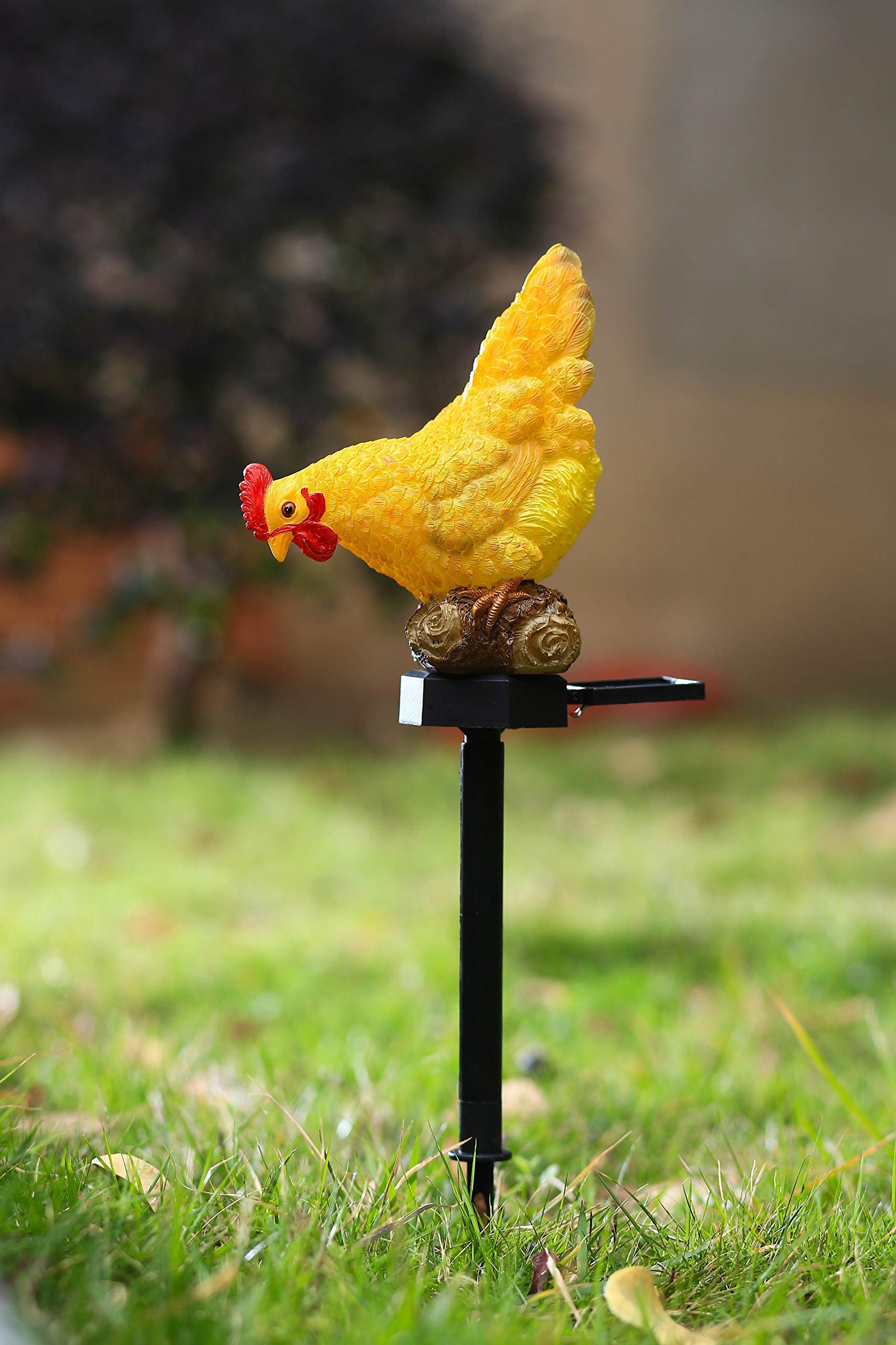 CHUANGFENG solar chicken statue adds warm glow to patio