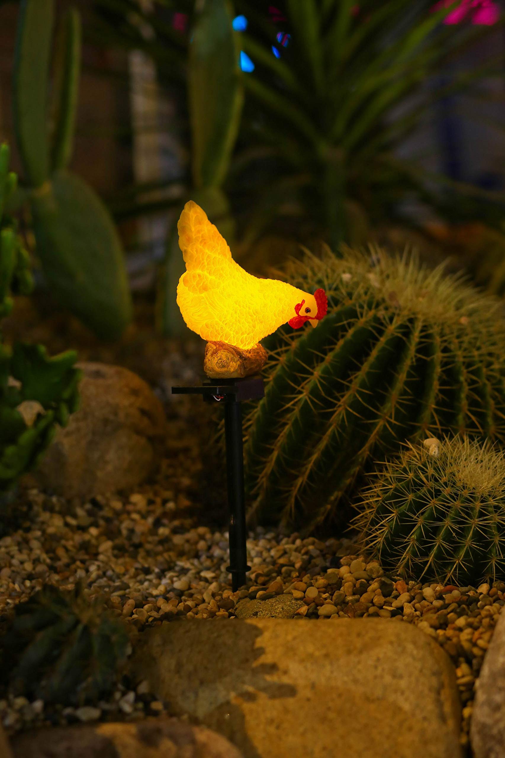 CHUANGFENG garden chicken light showcases whimsical yard ambiance