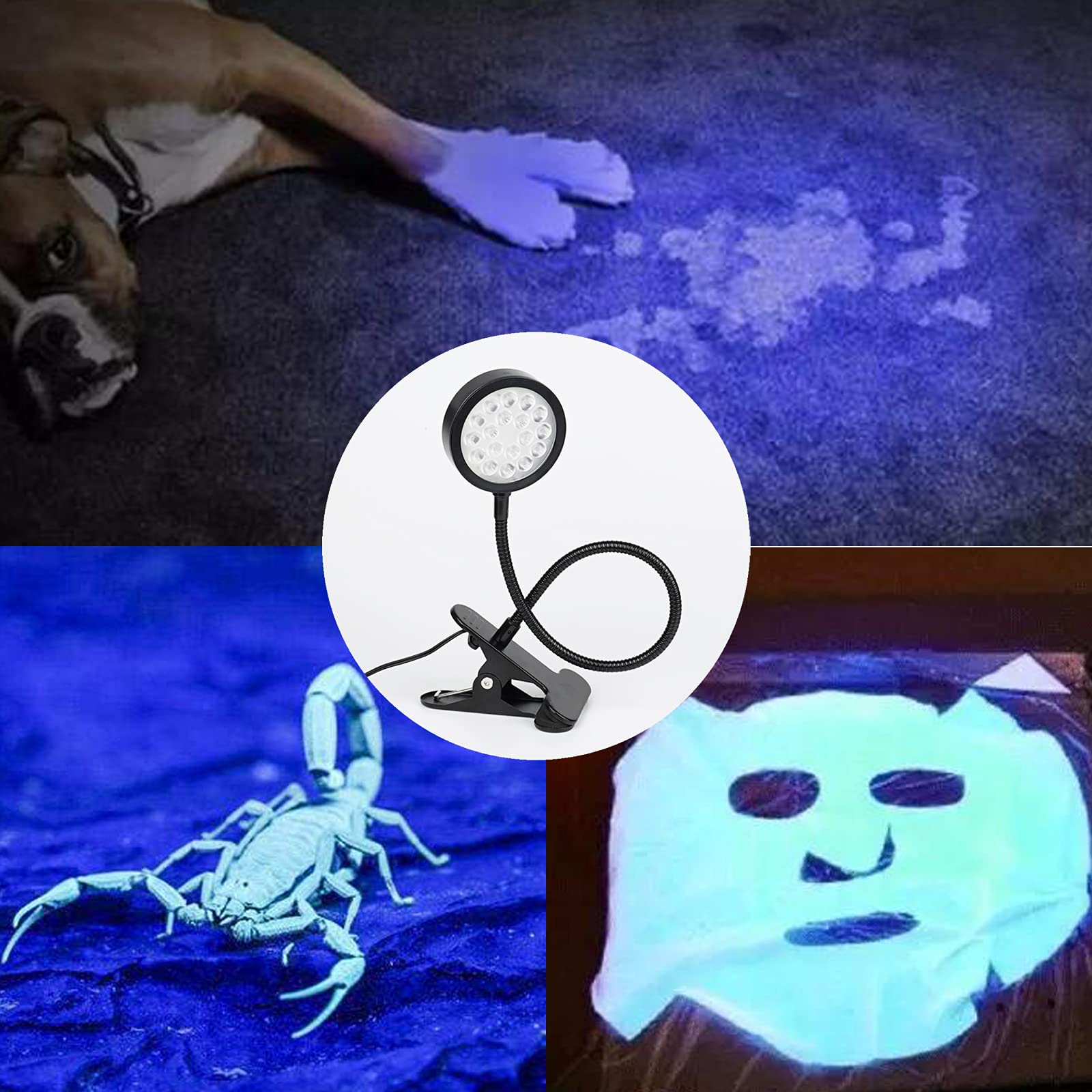CICINY 395nm UV light suitable for pet urine detection and glow effects.