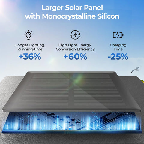 CINOTON IP65 weatherproof design withstands rain and frost for year-round use