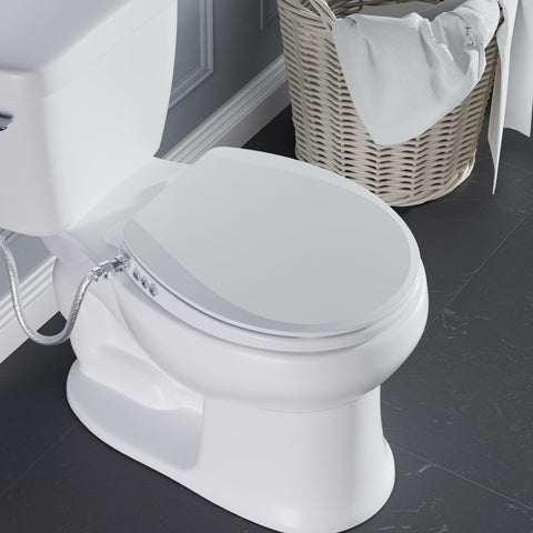 Clirass bidet seat includes easy-installation hardware.