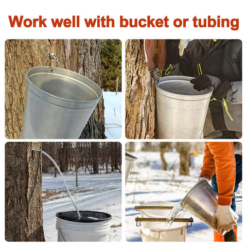 Codesteel assembled maple tapping kit ready for syrup harvesting.