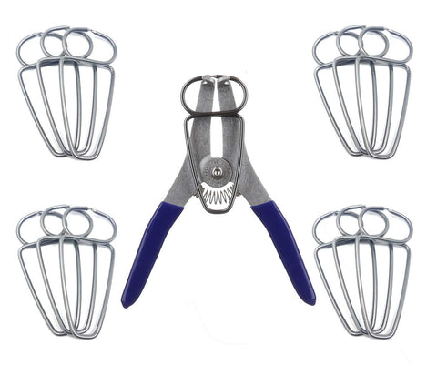 Collins Tool clamps arranged around a frame project for precise joins.