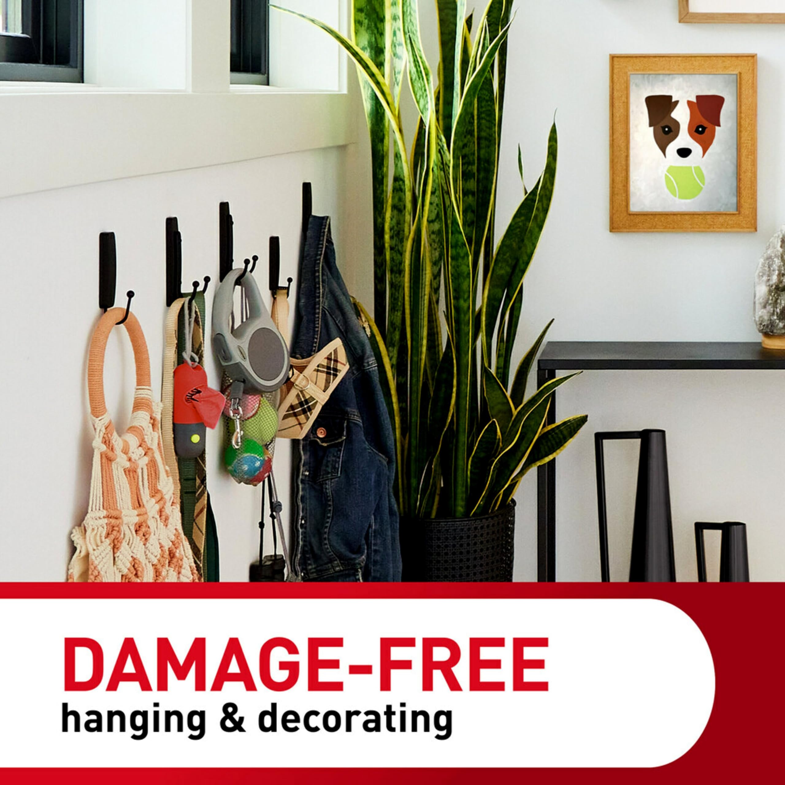 Command easy removal on painted wall shows clean, residue-free detachments.