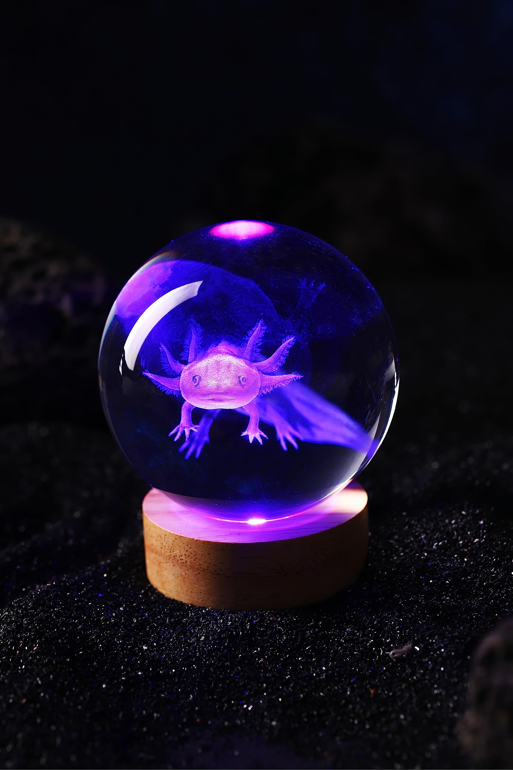 Conalisk axolotl lamp adds ambience during gatherings.